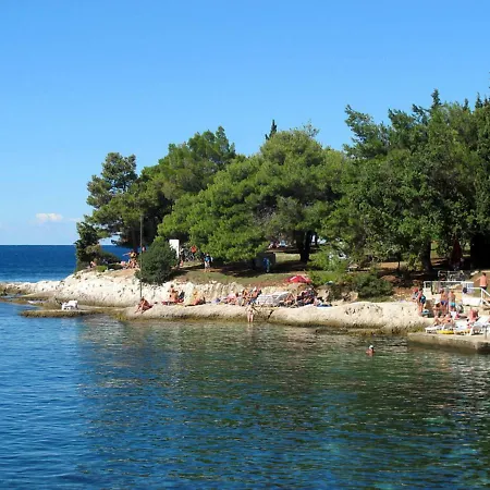 Miha Apartman